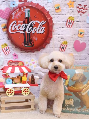 20230919ランチちゃん